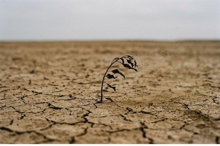An image of the word adversity as defined by adverse or unfavorable fortune or fate; a condition marked by misfortune, calamity, or distress.