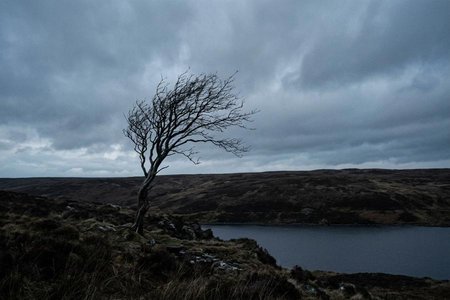 An image of the word bleak as defined by bare, desolate, and often windswept.