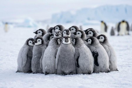An image of the word cohesion as defined by the act or state of cohering, uniting, or sticking together.