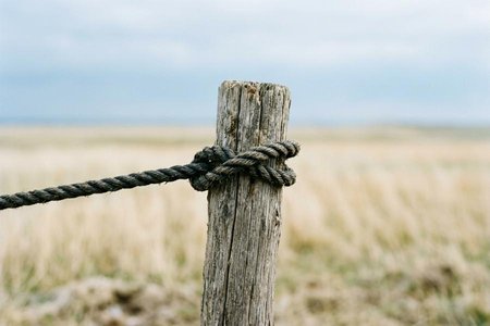 An image of the word compelled as defined by secured or brought about by force.