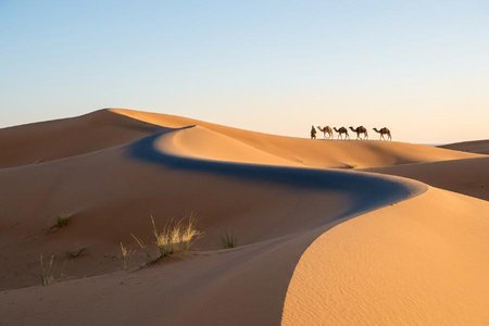 An image of the word desert as defined by a region so arid because of little rainfall that it supports only sparse and widely spaced vegetation or no vegetation at all.