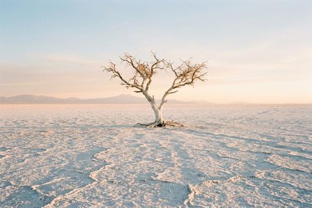 An image of the word desolate as defined by barren or laid waste; devastated.