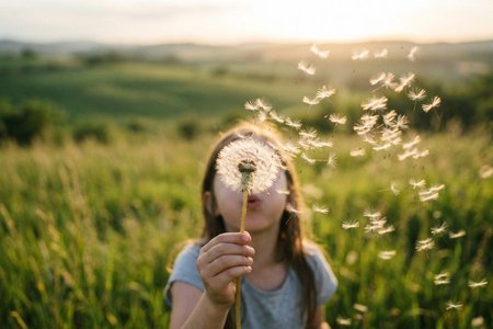 dsiperse DISPERSE Definition & Meaning 617083