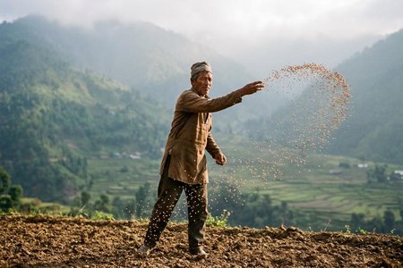 An image of the word disseminate as defined by to scatter or spread widely, as though sowing seed; promulgate extensively; broadcast; disperse.