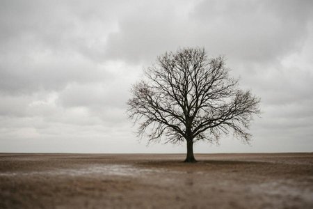 An image of the word dreary as defined by causing sadness or gloom.