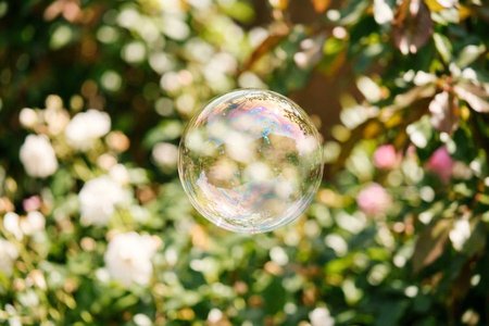An image of the word fleeting as defined by passing swiftly; vanishing quickly; transient; transitory.