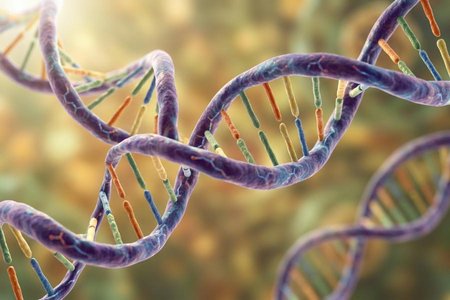 An image of the word gene as defined by the basic physical unit of heredity; a linear sequence of nucleotides along a segment of DNA that provides the coded instructions for synthesis of RNA, which, when translated into protein, leads to the expression of hereditary character.