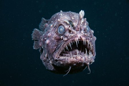 An image of the word grotesque as defined by odd or unnatural in shape, appearance, or character; fantastically ugly or absurd; bizarre.