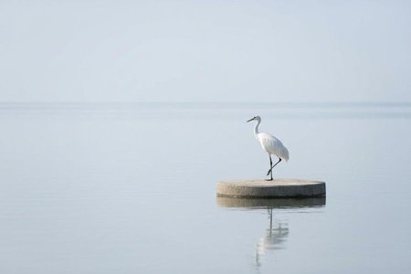 An image of the word isolation as defined by an act or instance of isolating.
