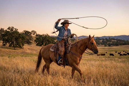 An image of the word lasso as defined by a long rope or line of hide or other material with a running noose at one end, used for roping horses, cattle, etc.