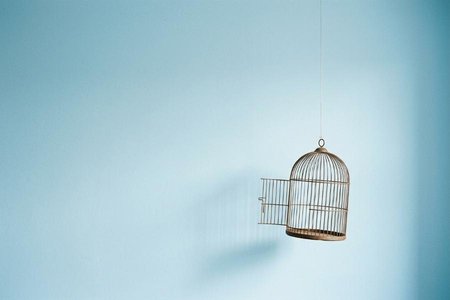 An image of the word liberty as defined by freedom from arbitrary or despotic government or control.