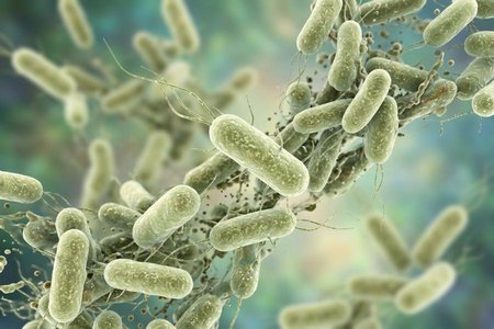 An image of the word microbe as defined by a microorganism, especially a pathogenic bacterium.