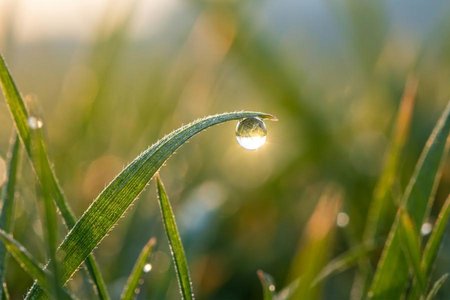 An image of the word morning as defined by the first part or period of the day, extending from dawn, or from midnight, to noon.