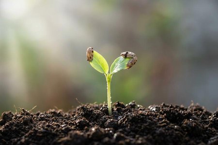 An image of the word new as defined by of recent origin, production, purchase, etc.; having but lately come or been brought into being.