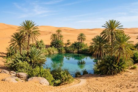 An image of the word oasis as defined by a small fertile or green area in a desert region, usually having a spring or well.