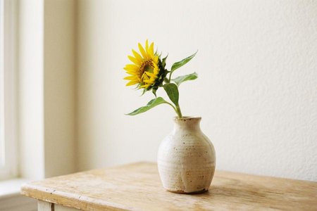 An image of the word optimism as defined by a disposition or tendency to look on the more favorable side of events or conditions and to expect the most favorable outcome.