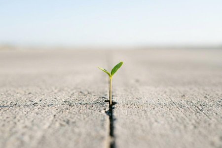 An image of the word optimistic as defined by disposed to take a favorable view of events or conditions and to expect the most favorable outcome.