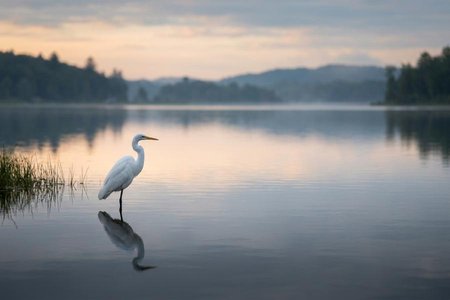 An image of the word placid as defined by pleasantly calm or peaceful; unruffled; tranquil; serenely quiet or undisturbed.