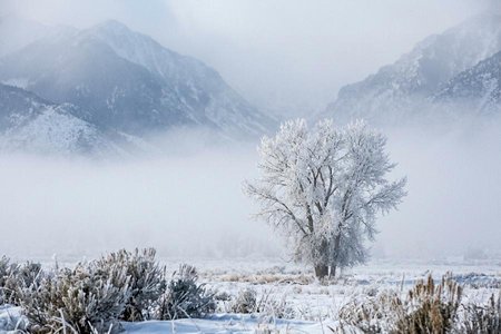 An image of the word pogonip as defined by an ice fog that forms in the mountain valleys of the western U.S.