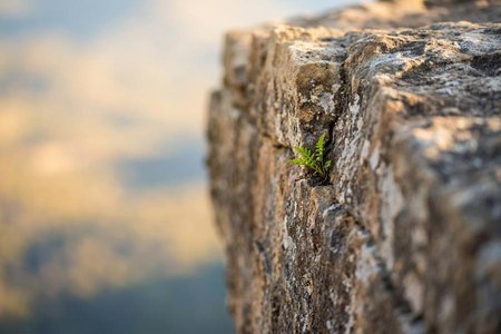 An image of the word precipice as defined by a cliff with a vertical, nearly vertical, or overhanging face.