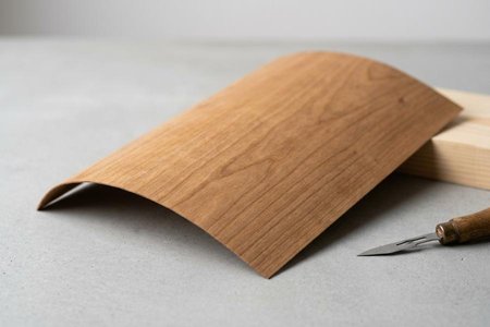 An image of the word veneer as defined by a thin layer of wood or other material for facing or inlaying wood.