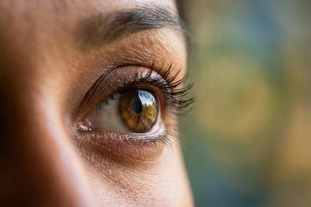 An image of the word view as defined by an instance of seeing or beholding; visual inspection.
