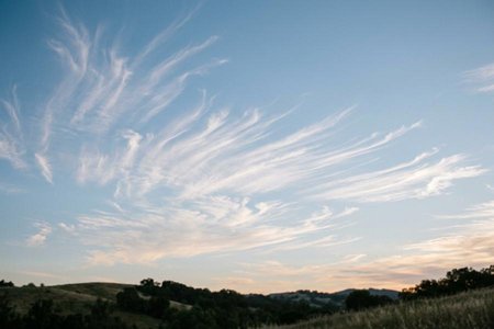An image of the word wispy as defined by being a wisp or in wisps; wisplike.